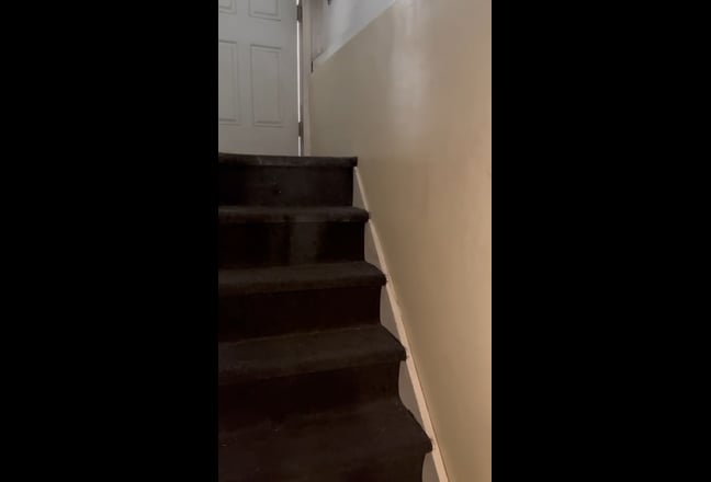 Excellent Furnished Room in Briarwood, Jamaica Main Photo