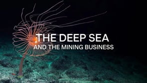 The Deep Sea and the Mining Business