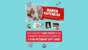 March Cuteness Starts TODAY