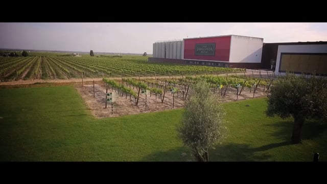 Casa Ermelinda Freitas