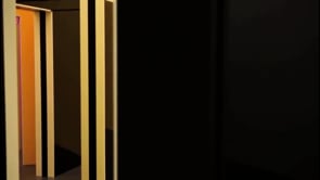 Vignette de la vidéo