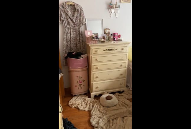 Large bright room. Furnished apartment. Close L &M Main Photo