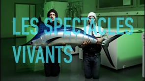 Vignette de la vidéo