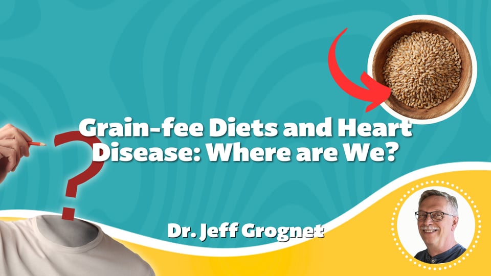 Grain-Free Diets and Heart Disease: Where are We?