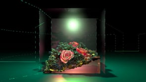 Vignette de la vidéo