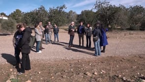 La Generalitat perfila la protecció i ordenació del litoral davant el canvi climàtic