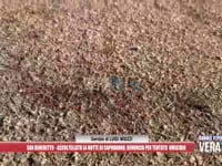 San Benedetto - Accoltellamento Capodanno, denuncia per tentato omicidio