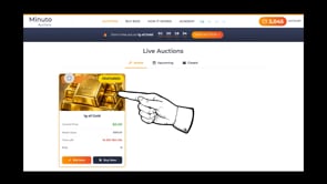 4. Complete auction process – step by step