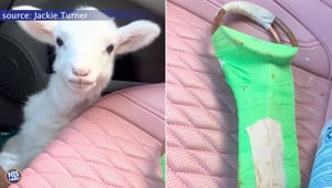 Baby Timothy is A-Ok