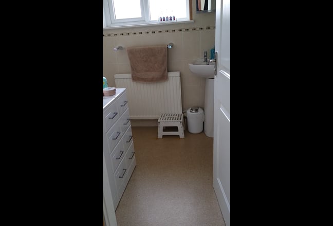 Quiet,calm home. Small friendly dog. Pets allowed. Main Photo