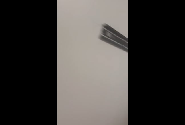 Room for rent in union city New Jersey Main Photo