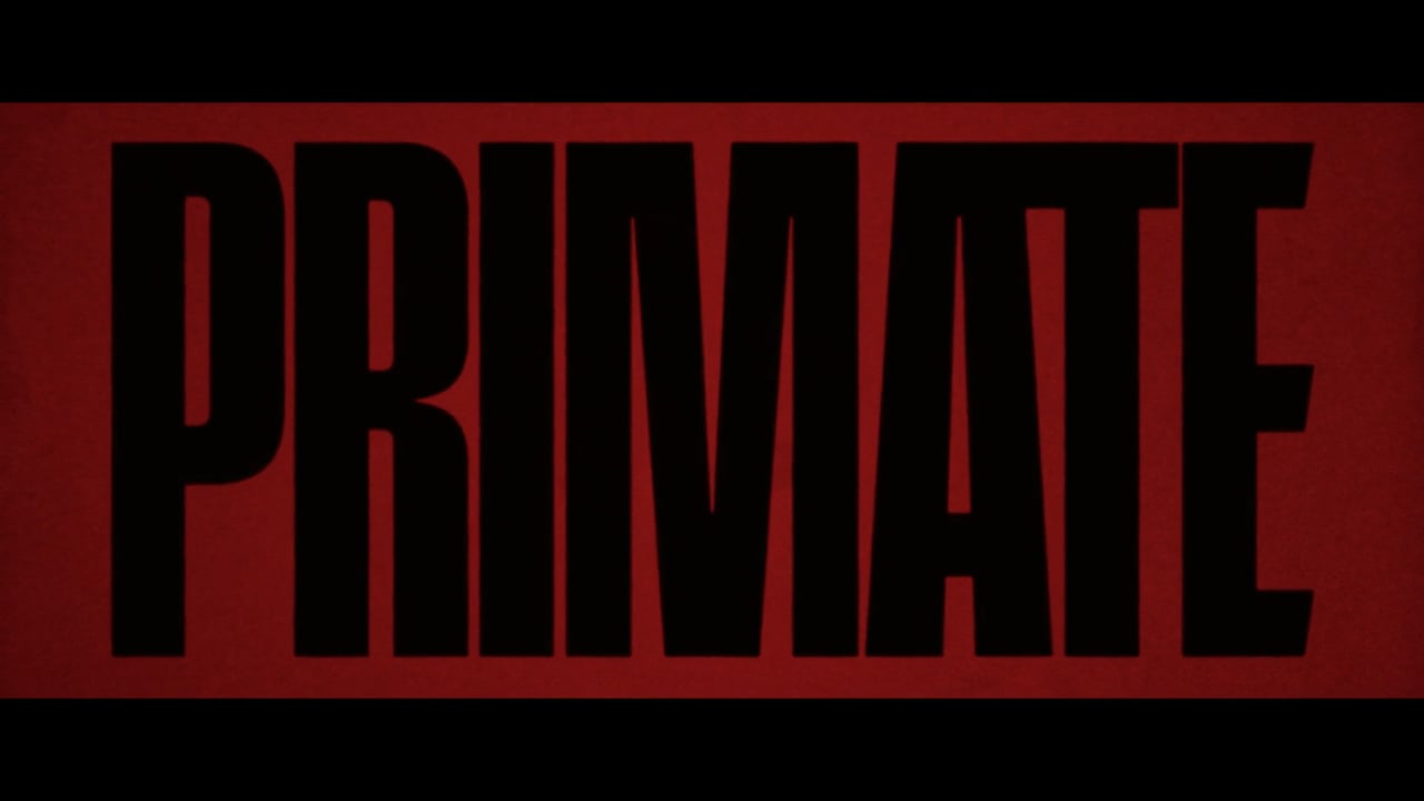 Video thumbnail for Primate