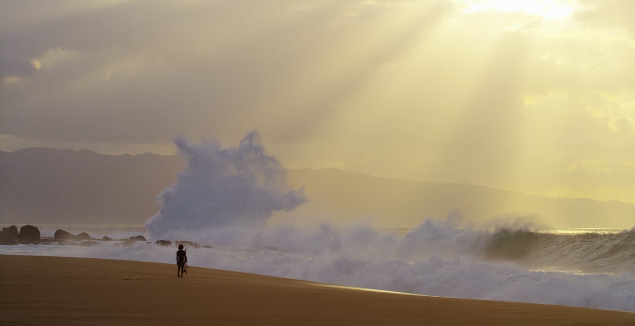 The Wild · Noah Beschen · REDirect Surf Grand Prize