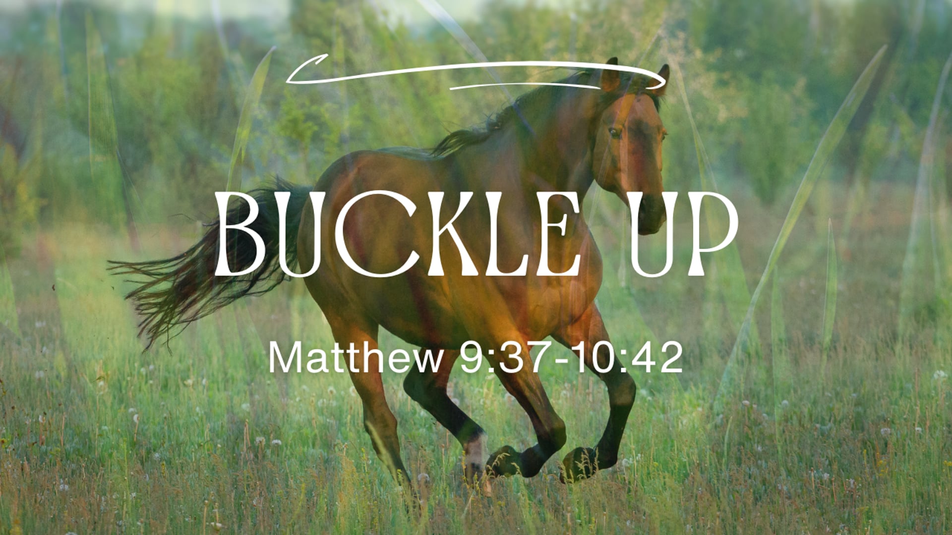 Feb  15 , 2026 - Buckle up