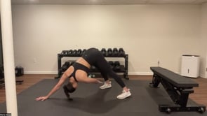 Related Embedded Video Item Thumbnail