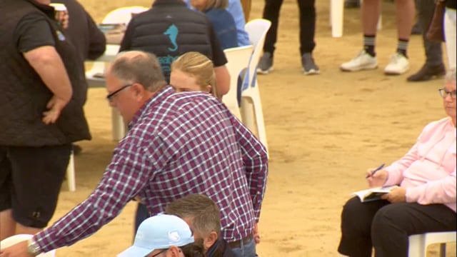 2026 National Standardbred Yearling Sale, Lot 153 - 162