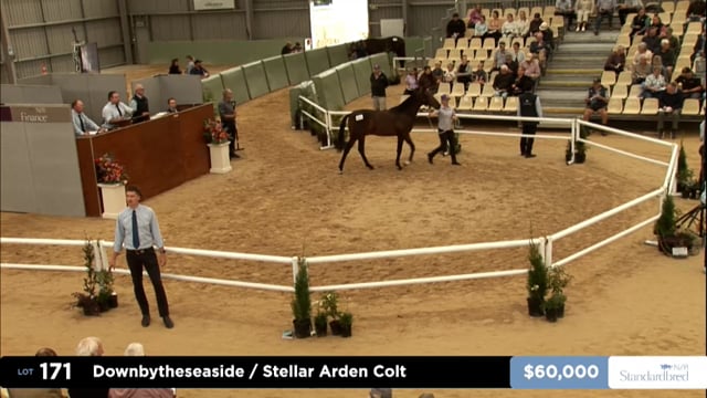 2026 National Standardbred Yearling Sale, Lot 171 - 180
