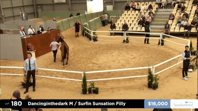 2026 National Standardbred Yearling Sale, Lot 180 - 190