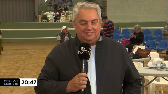 2026 National Yearling Sale | Mick Harvey
