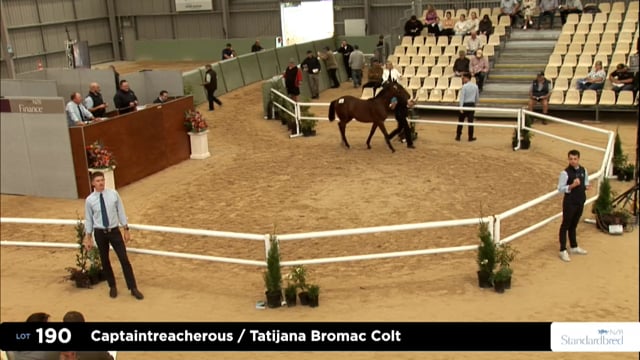 2026 National Standardbred Yearling Sale, Lot 190 - 199