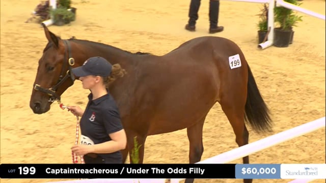 2026 National Standardbred Yearling Sale, Lot 199 - 206