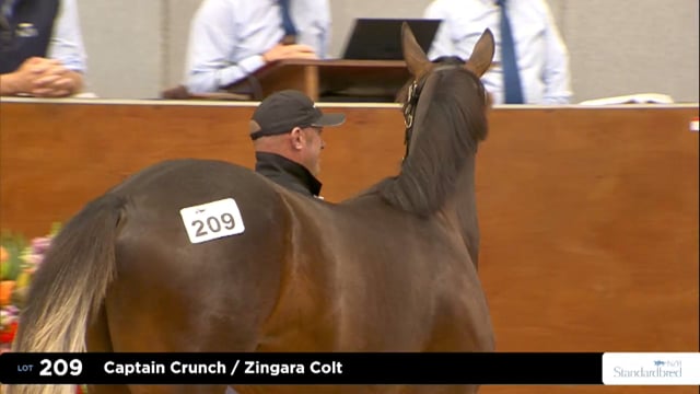 2026 National Standardbred Yearling Sale, Lot 209 - 216