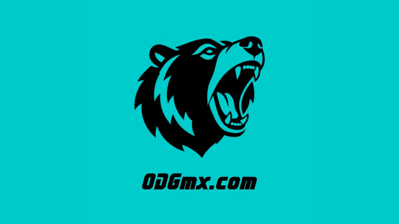 Toy Plus | Koo Koo Birds.