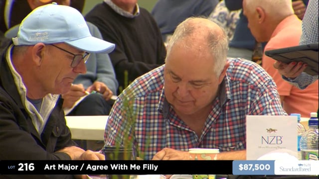 2026 National Standardbred Yearling Sale, Lot 216 - 225