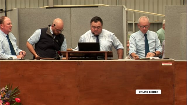 2026 National Standardbred Yearling Sale, Lot 225 - 236