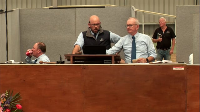 2026 National Standardbred Yearling Sale, Lot 236 - 245