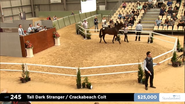 2026 National Standardbred Yearling Sale, Lot 245 - 254