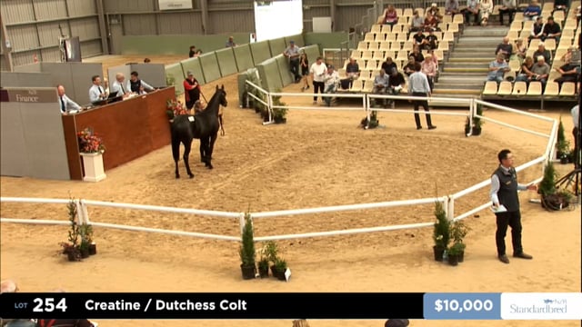 2026 National Standardbred Yearling Sale, Lot 254 - 261
