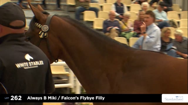 2026 National Standardbred Yearling Sale, Lot 262 - 271