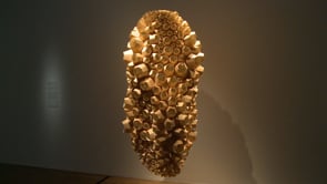 Vignette de la vidéo