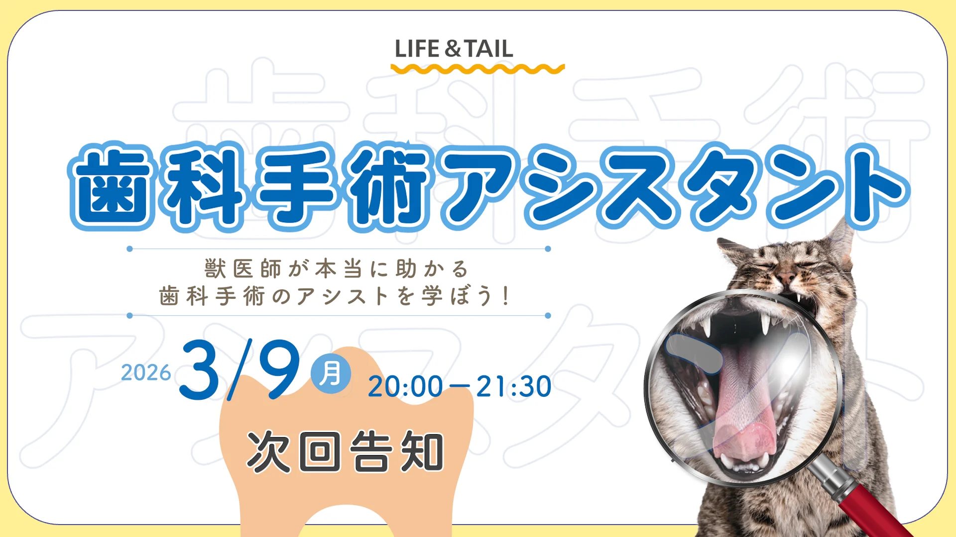 歯科専門愛玩動物看護師から学ぶ歯科手術アシスタント | Life&Tail