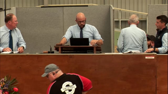 2026 National Standardbred Yearling Sale, Lot 283 - 290