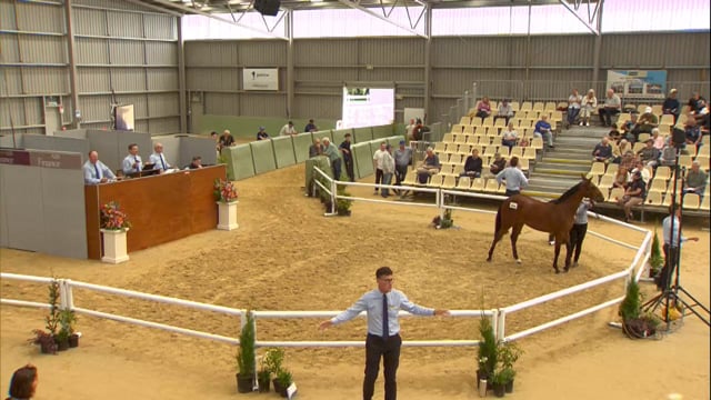 2026 National Standardbred Yearling Sale, Lot 291 - 298