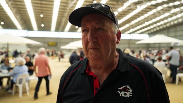 2026 National Yearling Sale | Pat Driscoll