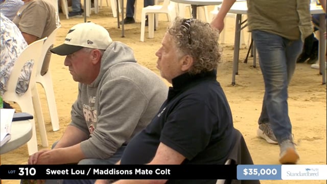 2026 National Standardbred Yearling Sale, Lot 310 - 319