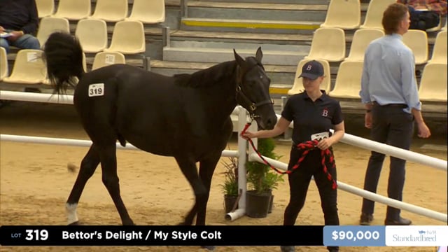 2026 National Standardbred Yearling Sale, Lot 319 - Day 2 - Review Show Part 1