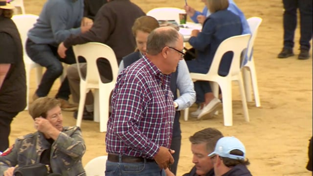 2026 National Standardbred Yearling Sale, Lot 149 - 159