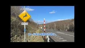 ロードキルを防げ①試行版