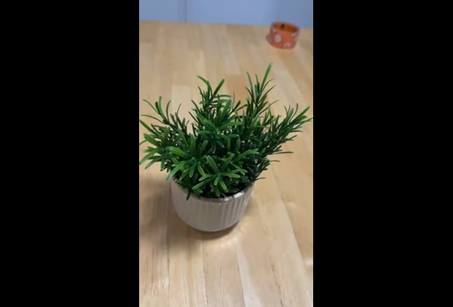 High-standard refurbished house! Main Photo