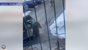 Turkeys Chase UPS Driver