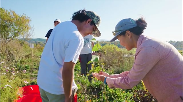 Related Embedded Video Item Thumbnail