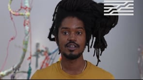 Vignette de la vidéo