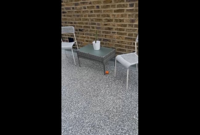 Columbia Flower Market Double Room Main Photo