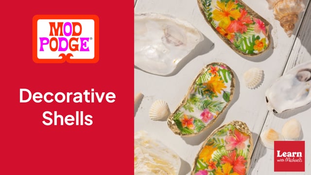 Recorded Live: Mod Podge Decorative Shells Expert-Led Craft Tutorial On ...