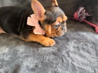 My personality & characteristics