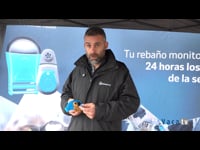 MSD en Crous Cutrina con Lely